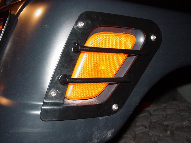 Turn Signal/Indicator Guard - Click to Enlarge