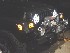 Headlight and Turn Signal/Indicator Guards