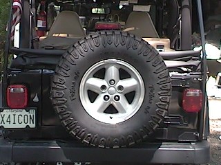Rear View