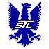 InterCo Tire