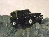 ppro's Jeep TJ Travel Bug