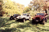 Blue, White and Red Jeeps