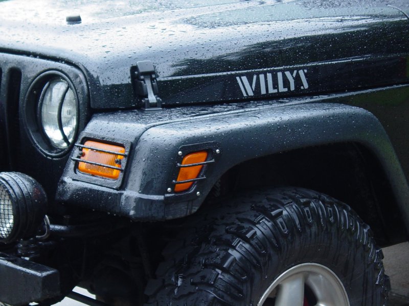 Driver Side Hood Detail