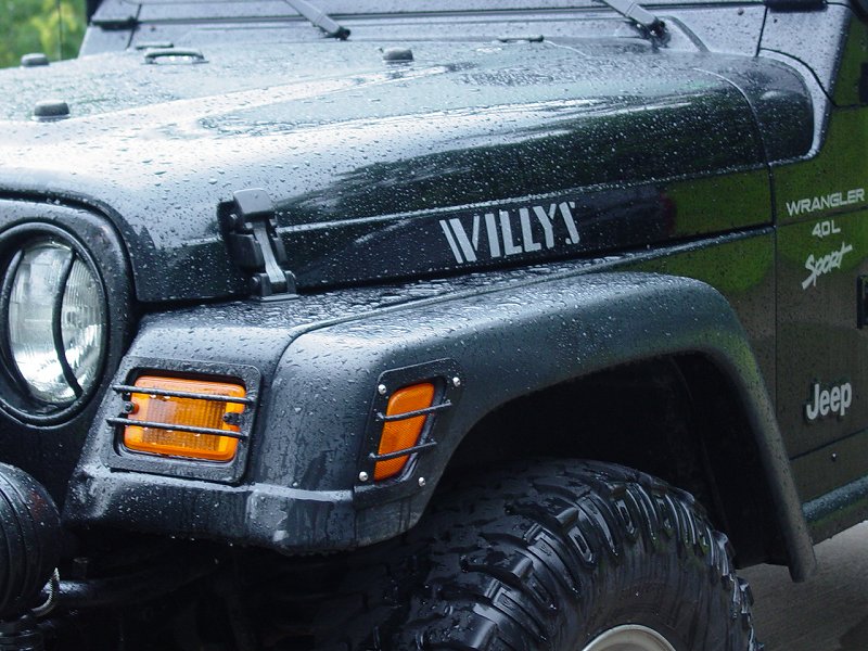 Driver Side Hood Detail