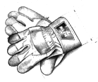 Gloves