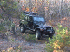 Wood Lot 11/10/02